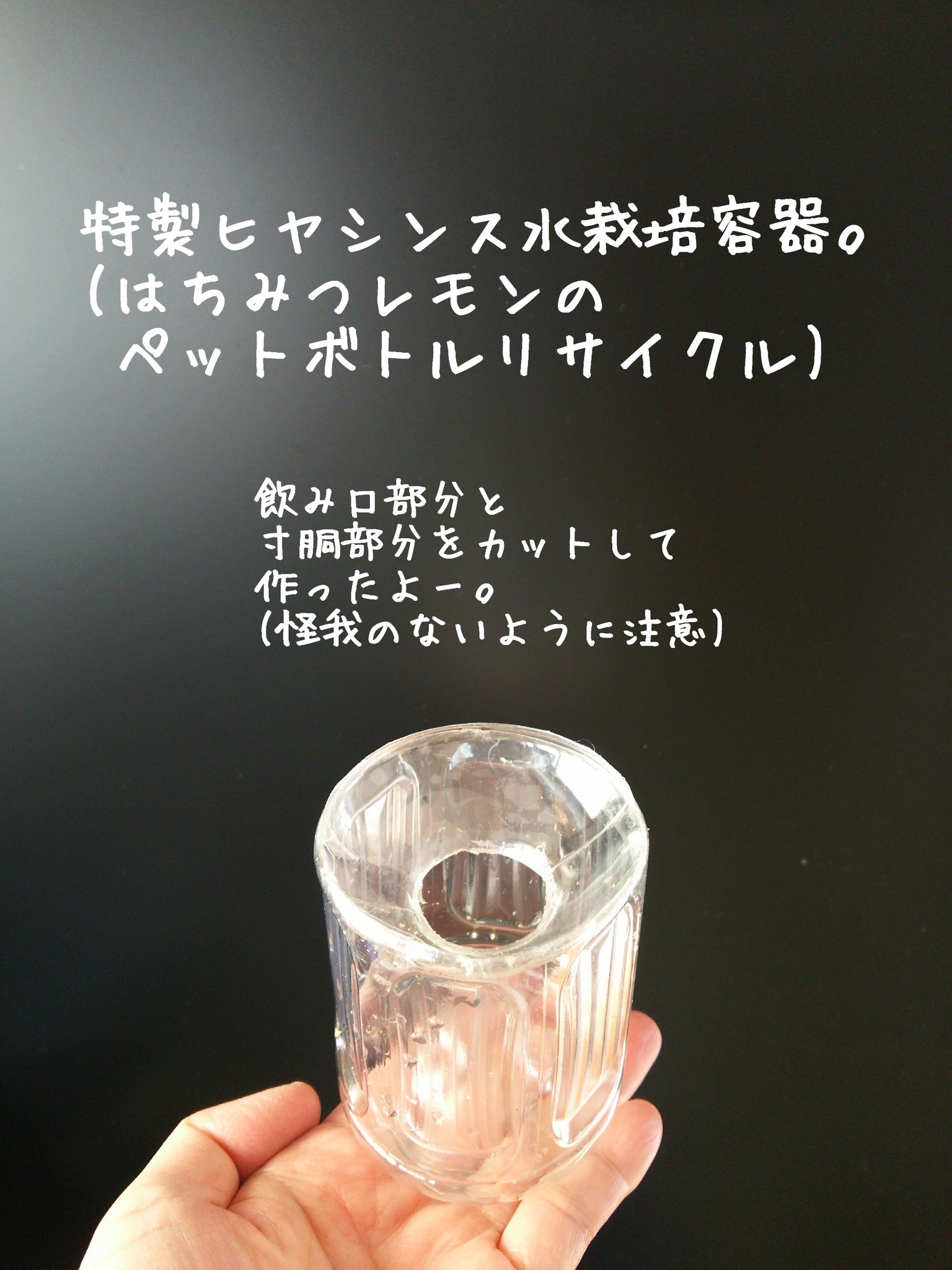 Mayu みんなでヒヤシンス部 ヒヤシンスの水栽培容器は ずっと昔から使い続けている 専用のガラス製とプラスチック製のものの他に 今回は 家にあったキャンドル用の容器や 350mlと2l のペットボトルなどをリサイクル 球根と文字をくっきり浮き上がらせ