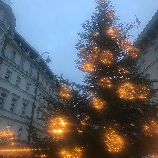 communications9's tweet photo. Letzten Sonntag auf der Freyung. Den ersten Weihnachtsmarkt des Jahres besucht, nachdem ein Manuskript beendet war. #belohnung #finishedwriting #ghostwriting #ghostwriter #authorsofinstagram #authorslife #bookstagram #writing #monikapaitl #lovewriting https://t.co/f2ESWgboj3 https://t.co/NTQ2qgP6jG