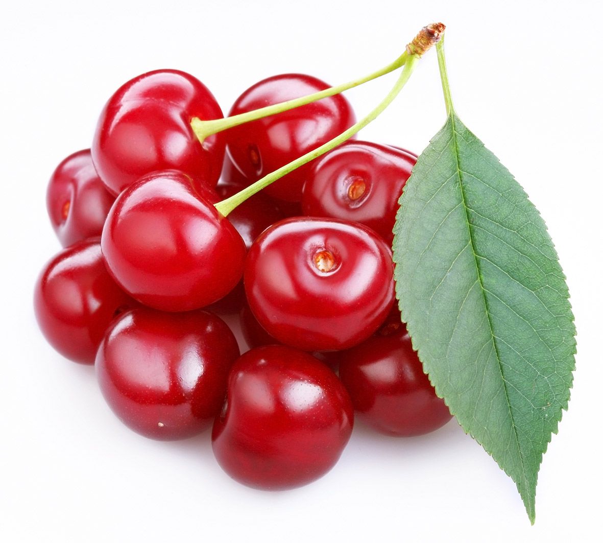 xi_sr's tweet photo. About Acerola Cherry    https://t.co/Cc0igXRXC6 https://t.co/cVrhQifWK9