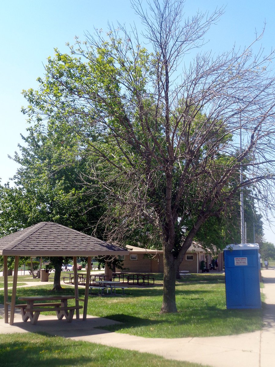 mickmoart's tweet image. It's a GREAT fringe-type #werewolf movie!! Thing is THIS!! I recognized that KC rest stop in the movie right off too!!

Yes, #BonehillRoad is worth every single penny you go to a @Walmart with!! 

A GREAT LITTLE WEREWOLF MOVIE made BIG by werewolves!! 🐺🐺🐺