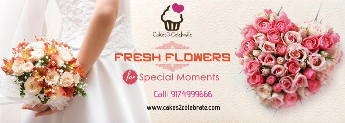 cakes2celebrate's tweet photo. FRESH FLOWERS
FOR...
SPECIAL MOMENTS
CALL:9174999666 
Cakes2celebrate
#cakes #taste #uniquetaste #flowers #specialmoments #specialrelation #celebration https://t.co/lEqX8gsEry