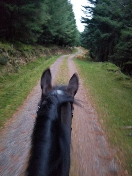 Such a wonderful day of riding and relaxing in beautiful Ireland! I really love this country! https://t<a href="/tag/multitasking"class="tags"><span>#multitasking</span></a><a href="/tag/teamstormy"class="tags"><span>#teamstormy</span></a>