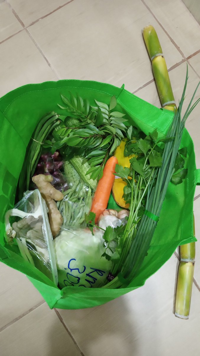 Meileemerry's tweet photo. Today save 11 plastic bags 😁 @wishtue

#JustalittleEffortToSaveOurEarth https://t.co/pviaxGNADI