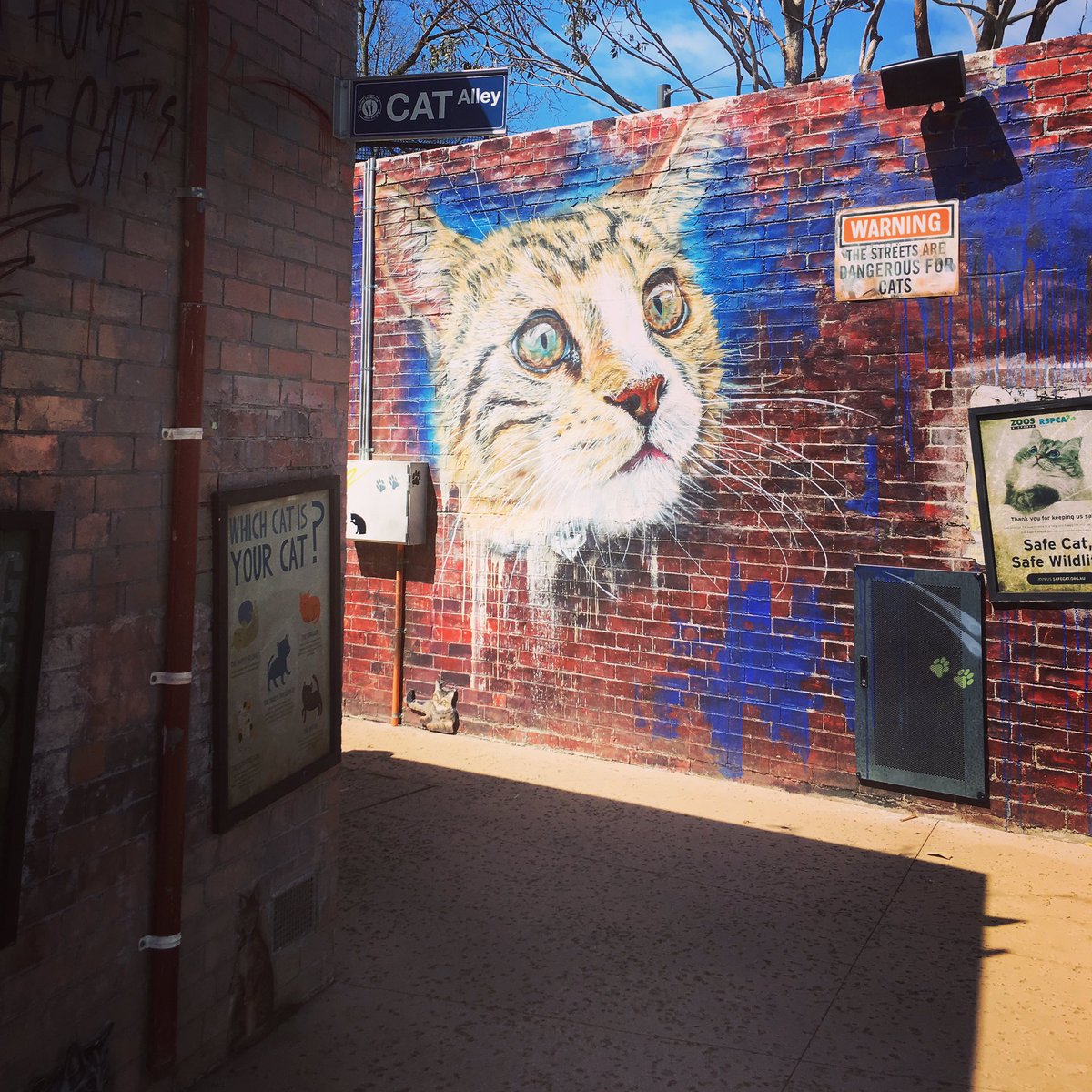 KMAllan_writer's tweet photo. Picture Prompt Tuesday.
...
📷 by K.M. Allan.
...
#writinginspiration #pictureprompt #pictures #photooftheday #picoftheday #photography #instapic #writers #writing #inspiration #catalley #graffitiart https://t.co/HnbEbYVEmV