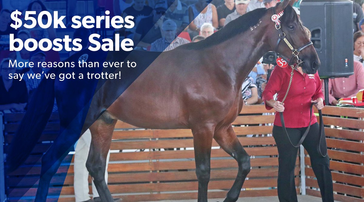 TheTrotsComAu's tweet photo. New race series with two $50k finals attached to the Australasian Premier Trotting Sale from 2019 as HRV & @AustPacingGold partner for three years. Sale moves to Inglis, Oaklands Junction. Vendors can still nominate.
Full story at #TheTrots: https://t.co/eqNrmhJUzh #APTS19 https://t.co/DyRYrTrUiC