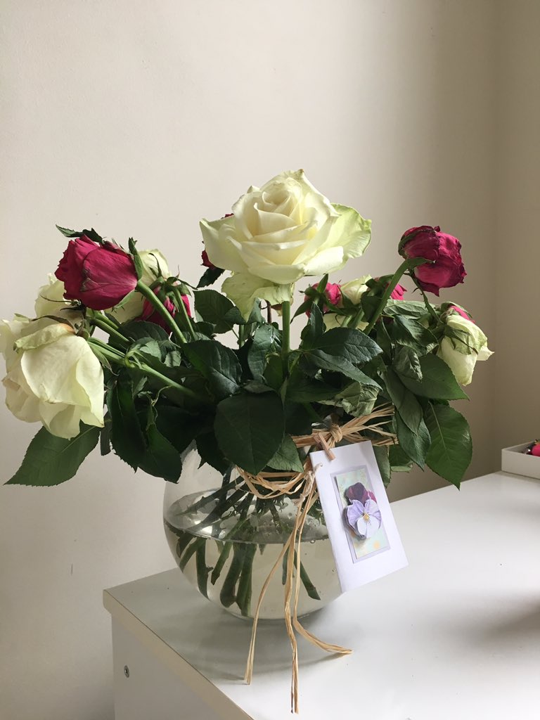 MiaHarrison97's tweet photo. @MrWillRichards @frasepearce makes for a nice flower vase :) https://t.co/NVTMd8juYQ
