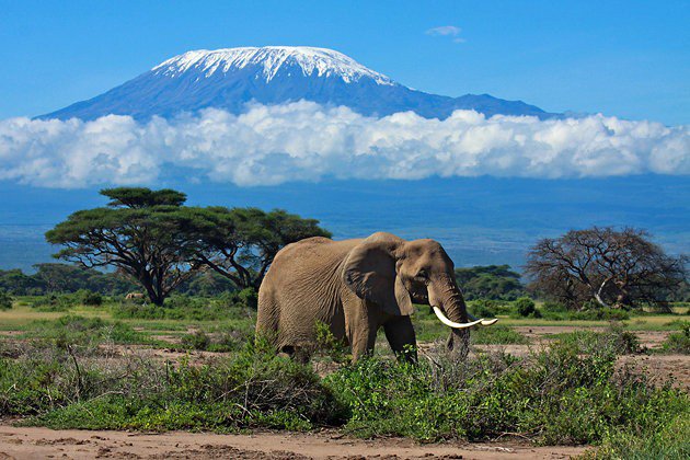 Tanzania Summer Volunteer Program 2019
 Trip Highlights
 • Enjoy the exciting game drives and safaris at the world famous Serengeti National Park.
 •  Witness the Big 5 of Africa.
  • Volunteer work under  masai meaningful projects and help make a  difference to this community