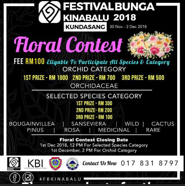BungaKinabaluFest tweet media