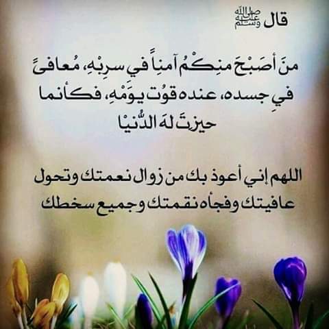 RayancellR's tweet photo. https://t.co/mnMo3QvMFa