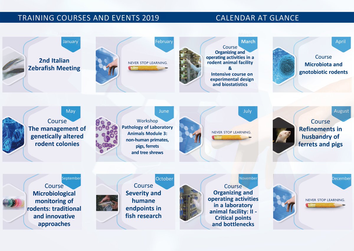 FondGBernardini's tweet photo. THE FGB 2019 TRAINING CALENDAR IS NOW ONLINE!

You can consult the "programs" page to discover the FGB training offer.
https://t.co/2sVltEtgd7 https://t.co/uQX2g5iqtu