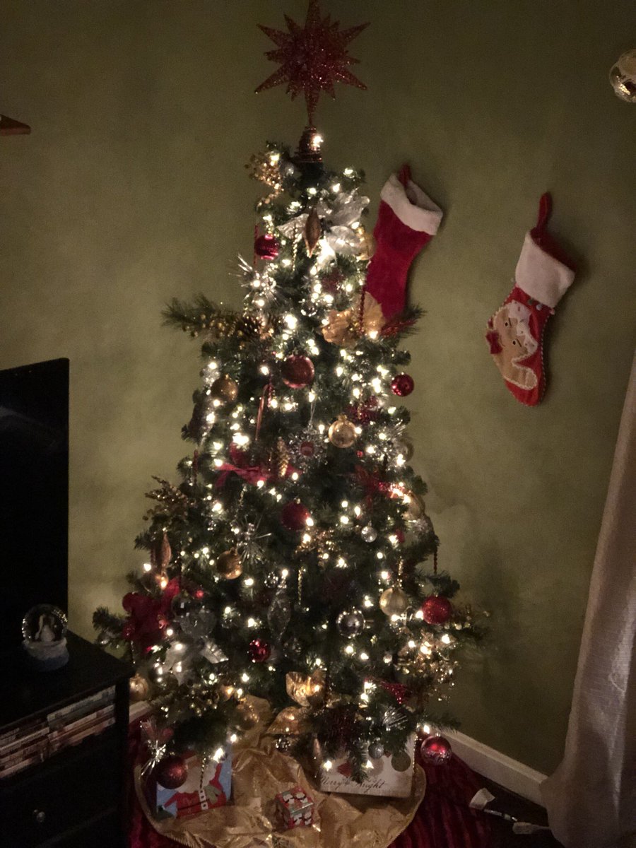loganstyles8715's tweet photo. First year decorating alone. I honestly expected it to suck, but I must say it was therapeutic 😏 https://t.co/Z49SIBOuZw