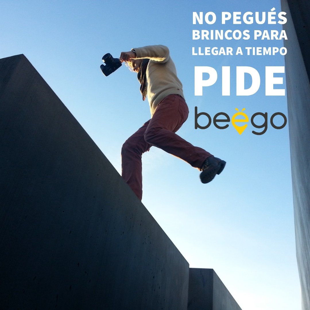 BeeGoCR tweet picture