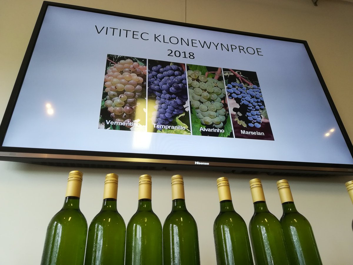 Ready to taste 30 experimental wines of the latest wine grape clones in the SA #wine industry, imported &amp; cultivated by Vinpro affiliate #Vititec vine improvement nurseries. #excellence #growingtogether <a href="/louwr/">🧡</a> <a href="/RicoBasson/">Rico Basson</a> <a href="/WineLandSA/">WineLand Media</a> <a href="/loesilbotha/">Lucille Botha</a> <a href="/rosa_kruger/">Rosa Kruger</a> <a href="/visualviti/">Jaco Engelbrecht</a>
