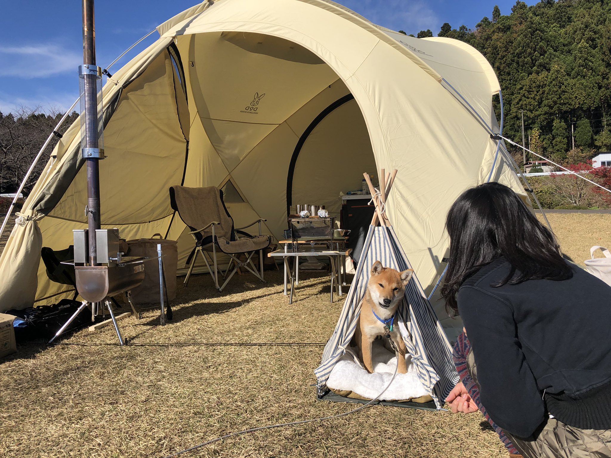 DOD ファイヤーベース ベージュ 【公式通販】