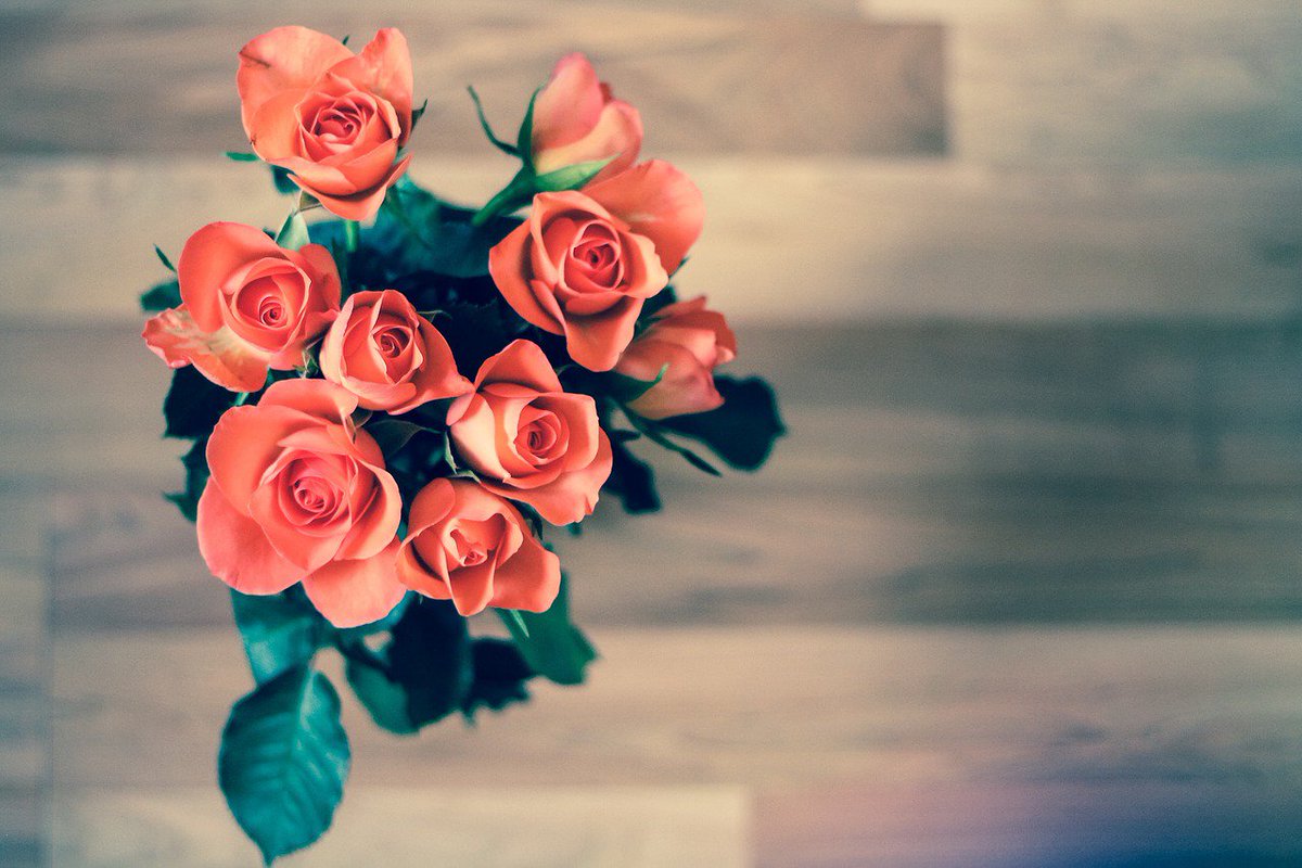 BellDelivery's tweet photo. Get your favorite bouquets for every occasion from Flower Delivery Bell Gardens.
To place your order, visit:  https://t.co/s0J67BSVkT
 #flowerdeliverybellgardens #seasonalflower #flowerbouquet #flowers   
 #LAFlowerdelivery #bellgardensflorist https://t.co/20SOhJZVTJ