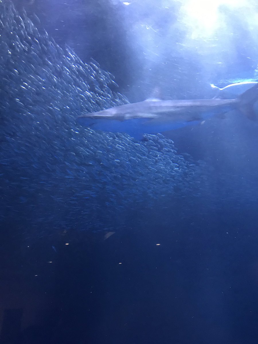 ST___Jackson's tweet photo. 名古屋なう https://t.co/NS3r9QrObg