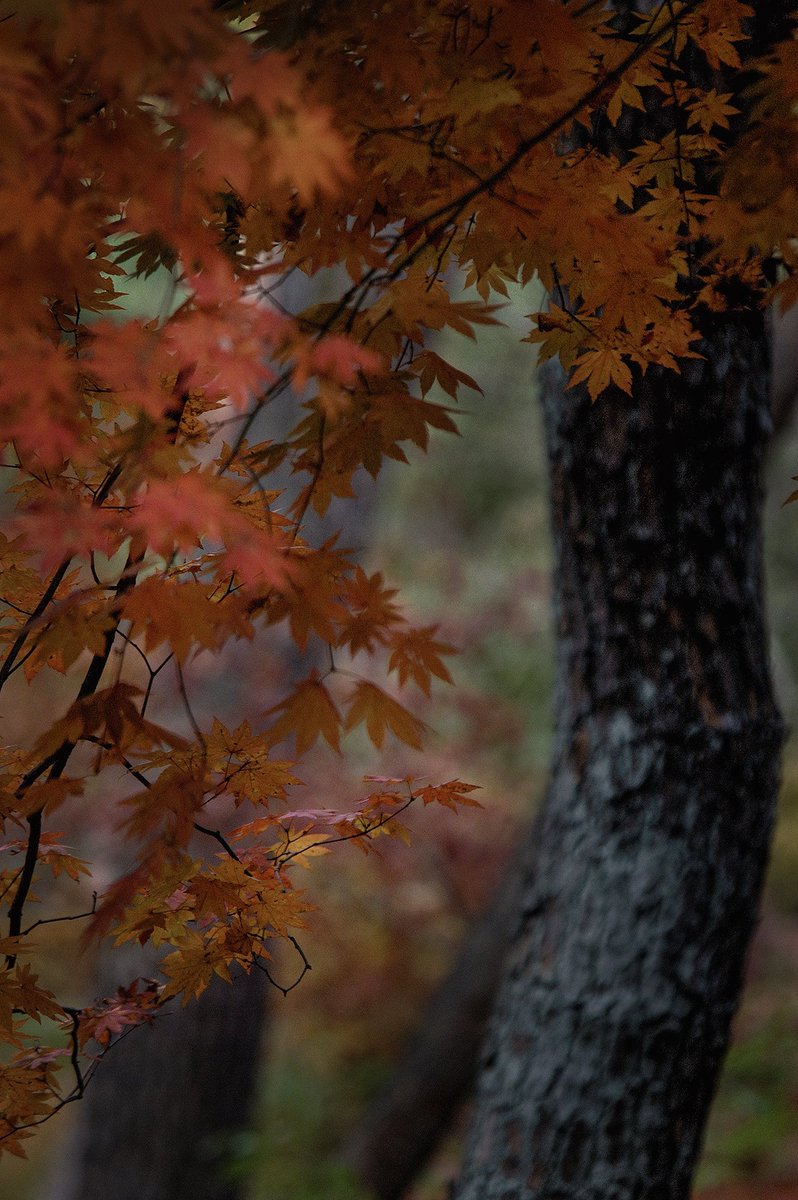 스스로 깨달아 아름답게 변모하는 섭리를 배웠으면