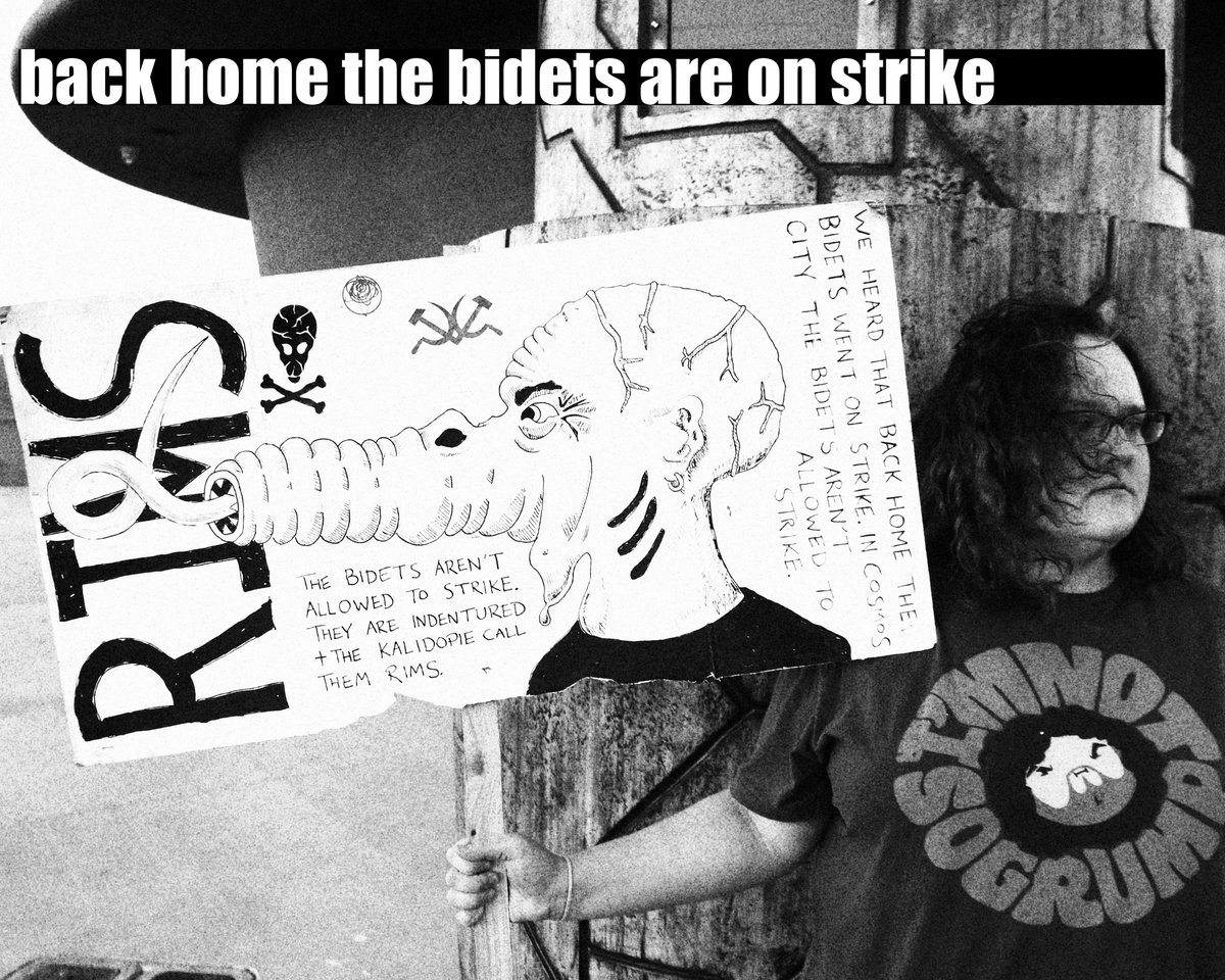 Back home the bidets are on strike. In Cosmos City the bidets aren’t allowed to strike because they are indentured. The Kalidopie call them rims. anachs.com/blog-1/bidets