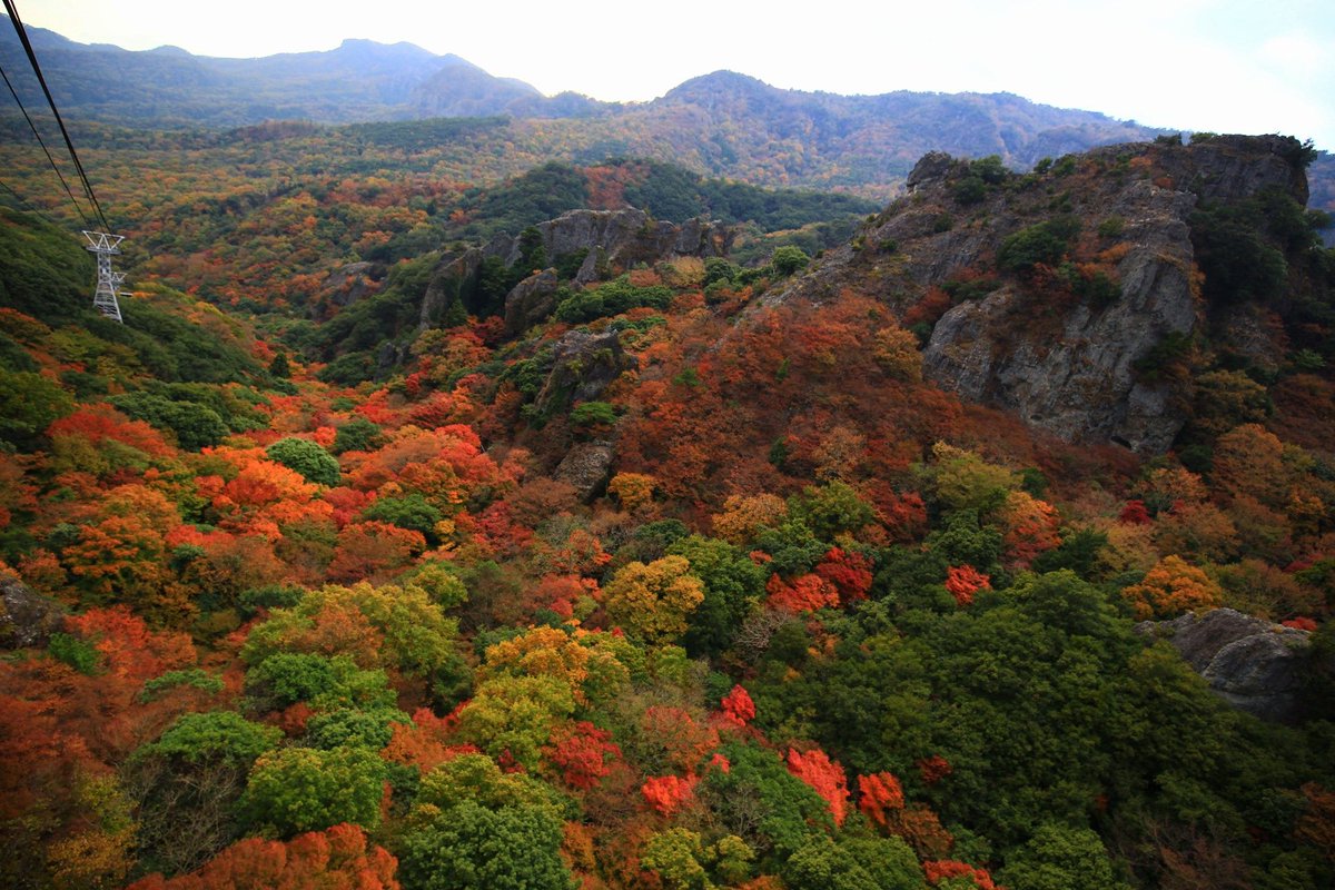 Hashtag 寒霞渓紅葉 Na Twitteri