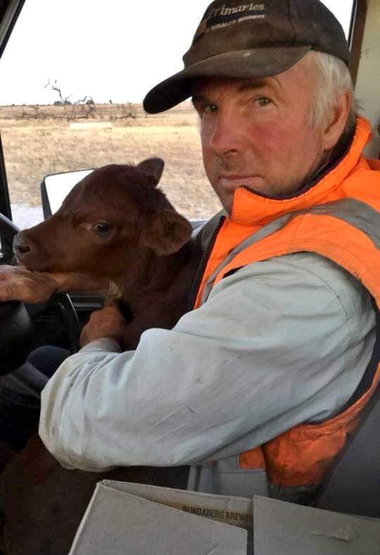 FrackFreeCM's tweet photo. We need to show them who we really are. Post a photo of yourself on the farm using hashtags #foodnotfracking #frackfreewa from P.O.W.E.R Eneabba Facebook 2/2 https://t.co/15KD1ENsEi