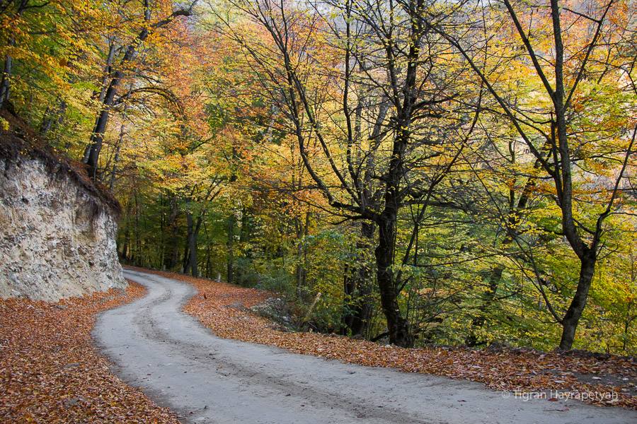 GardmanTour's tweet photo. "Autumn is a second spring when every leaf is a flower..." Albert Camus
Join our off-road tour to Areguni Mountains and let the golden yellows, deep crimsons and rich orange hues of Armenian autumn whisper you the melody of the nature and inspire you for future adventures! https://t.co/82gXsyYdKc