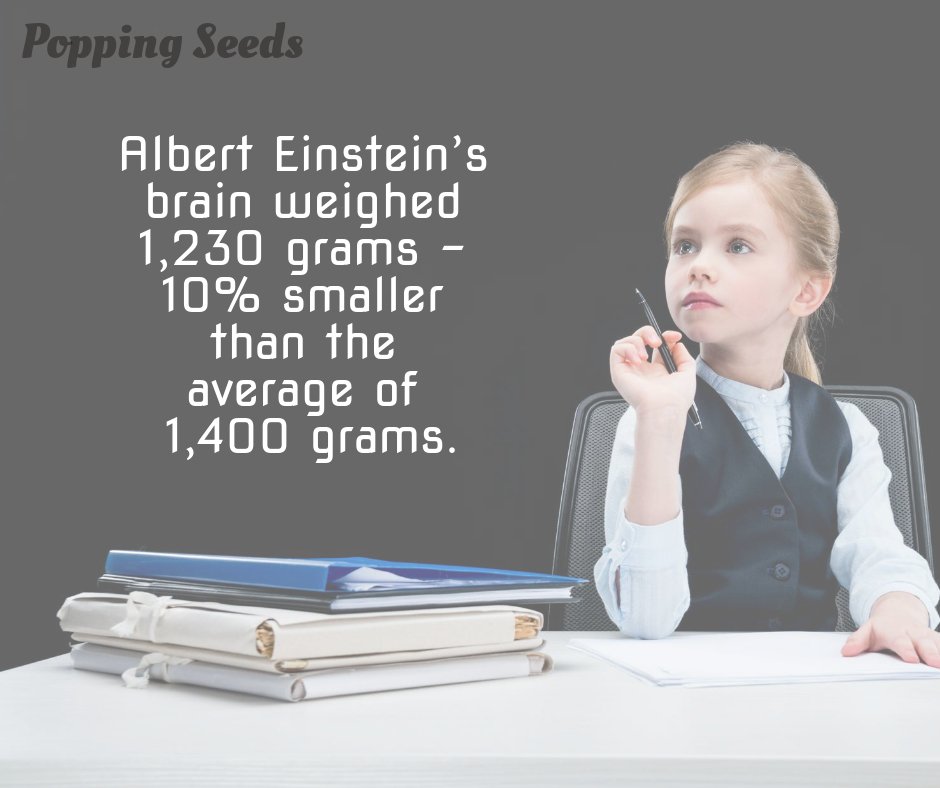 SeedsPopping's tweet photo. Intelligence does not depend on your brain size.
#PSTweets #AmazingFacts #DidYouKnow #BrainFacts https://t.co/IHckBxYPNu