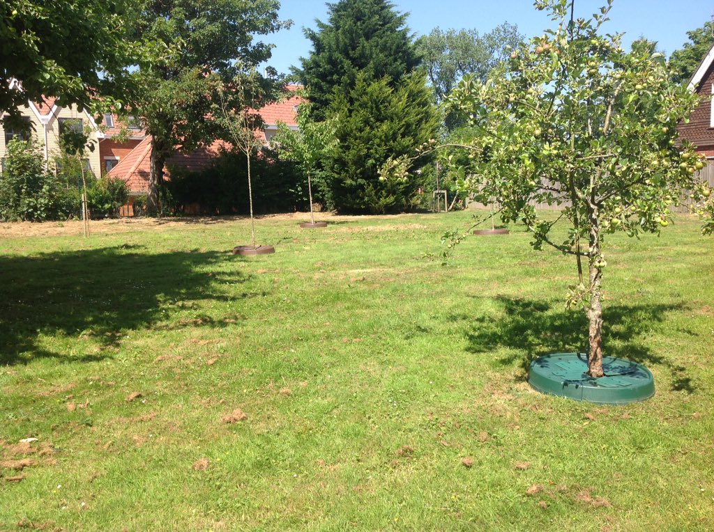 RussellHorsey's tweet photo. This week we are on the road with communities talking community Tree planting #swansea #pershorecollege and then helping @MSDCnews with their first community tree-planting event, well done to everyone involved #community #treeplanting #schools #treepans https://t.co/6qzdem02G1
