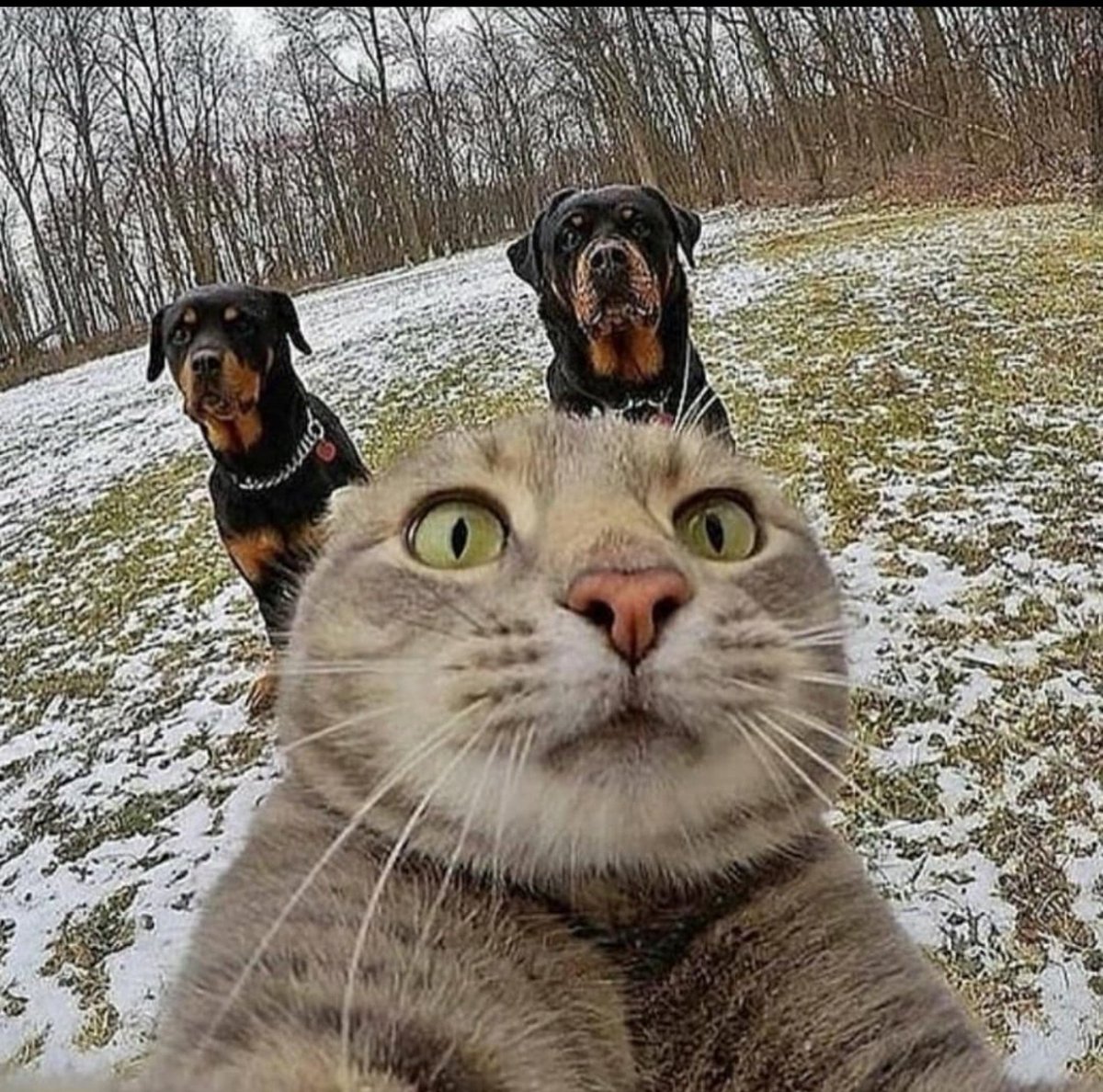 ML_pks's tweet photo. Last Selfie https://t.co/2wqlleI7kh