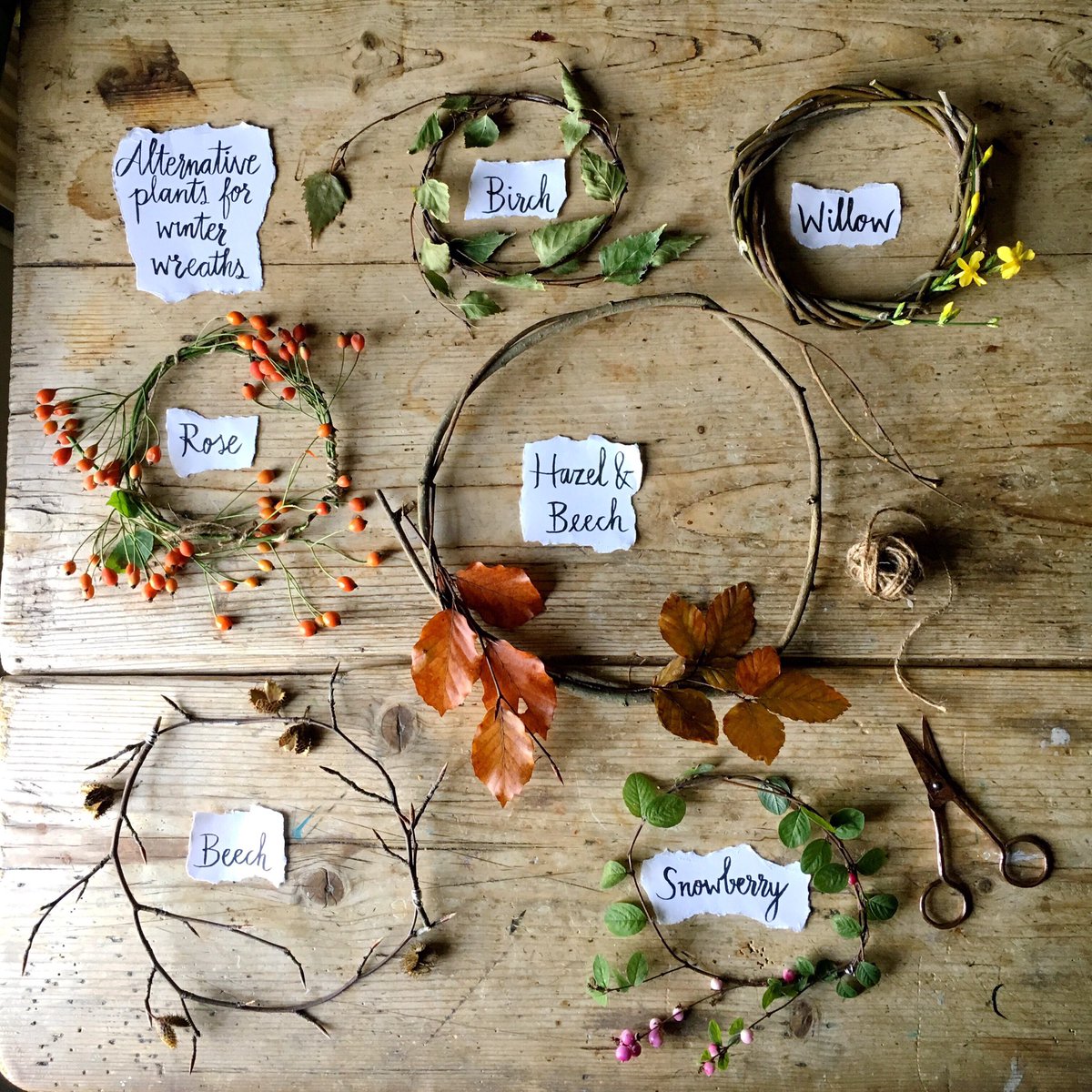 silverpebble's tweet image. Wreaths don’t have to be the big bushy expensive numbers from garden centres/florists. 

You can gather beech, birch, hazel, willow,rose or ivy from a hedgerow  or your garden to make simple, beautiful bosky circlets for nowt.

There are full instructions &amp;amp; tips in #makingwinter.
