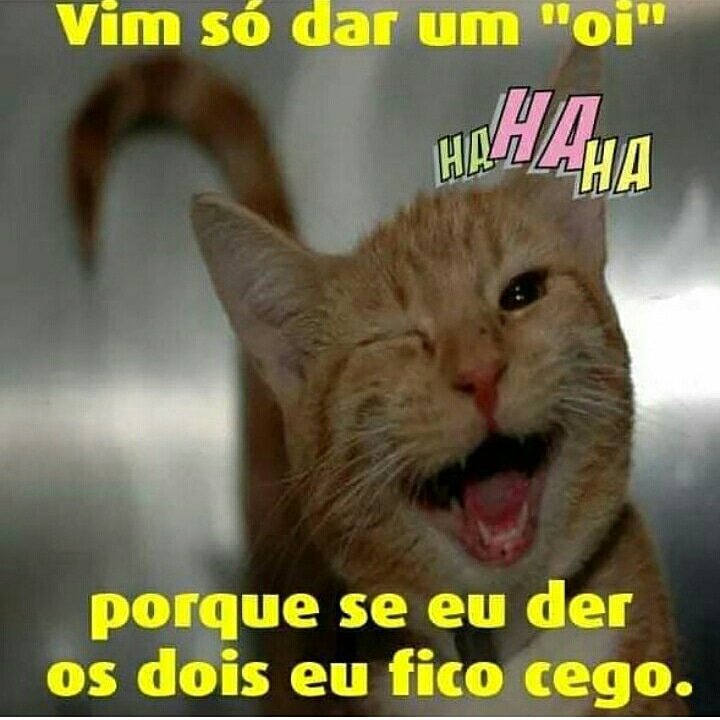 Bom dia aos novos seguidores! Amo vocês!