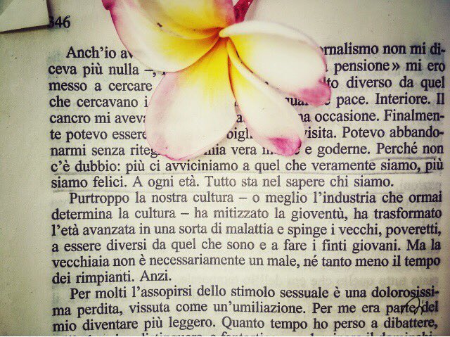 thebooksmark's tweet photo. Perché in fin dei conti la ricerca della felicità è la ricerca di se stessi. 🌸 https://t.co/EnB6Ctgdxx @tealibri @TizianoTerzani #libridaleggere #libri #segnalibro #thebooksmark #leggere #bookstoread #bookslover #Reading #bookmark #read #bookblogger #LibrosRecomendados https://t.co/qE9beMHKBc