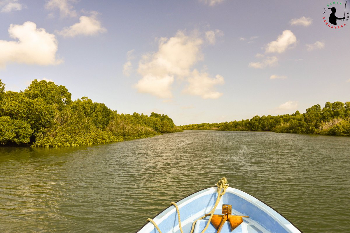 Treasures_Kenya's tweet photo. #SafariQuote 
“I travel because it makes me realize how much I haven’t seen, how much I’m not going to see, and how much I still need to see.”~Carew Papritz
A spectacular boat safari in the Lamu archipelago's Pate Island.
#TravelTuesday  #MagicalKenya #TreasureKenya #DiscoverLamu https://t.co/iicP94iIi0