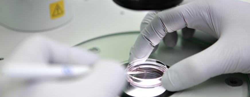 stemcellapp's tweet photo. Doctors agree that damaged organs never go back to the way they were once damaged.

With the help of regenerative medicine, scientists can grow new and compatible organs for patients who need them.

The key to longevity lies on stem cells.

Learn how: https://t.co/Sigg1hVx36 https://t.co/couJjIvzzO