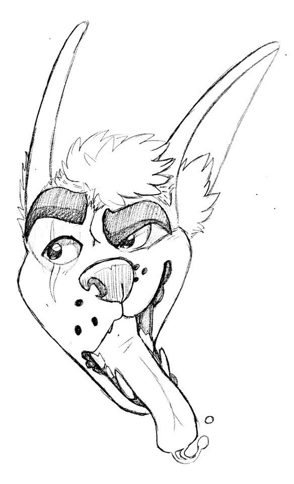 BurgundyDoodle's tweet image. Hey y’all, I had to drop $120 for chest binders since I lost mine on a hiking trip. I’m open for traditional sketch commissions, ($20-$50 each! Complexity fees will drive up price,) please retweet if you can!🐲❤️