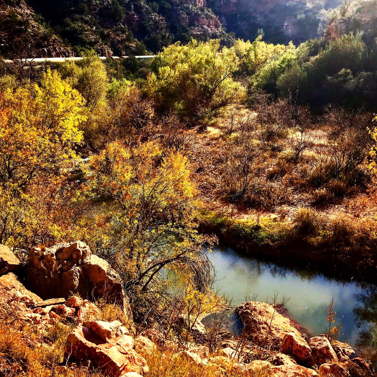 SumruPhotos's tweet photo. #verdecanyonrailroad #river #fallcolors #water #train #NatureIsBeautiful #naturephotography #mountains https://t.co/hK9hLSHBwo