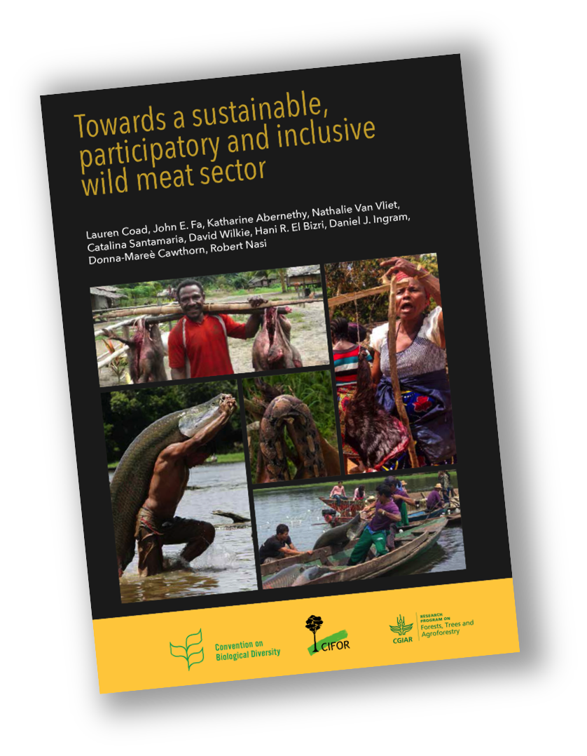 A new CIFOR/CBD book on wild meat use, governance and best-practice will be available on 3 Dec. 2018. It provides recommendations to CBD Parties and other stakeholders on achieving a sustainable, participatory and inclusive sector. Full version cifor.org/pid/7046
