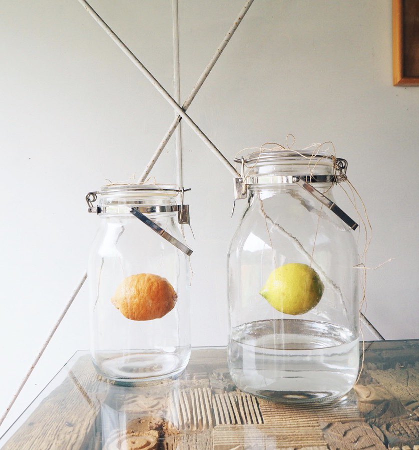 nano_723's tweet image. 今年も漬けた、漬けないお酒ぶらさがりレモン酒

とにかく見た目が不思議でかわいい。去年漬けたものはトロッとした舌ざわりで無色透明なのにレモンの香り。

レシピではオレンジだけど、無農薬の香り良さそうなものがあまり手に入らないので毎年レモンで🍋