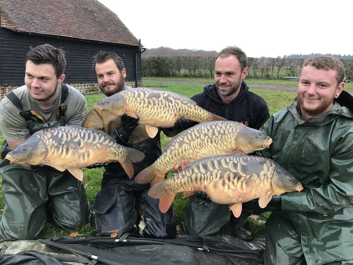 The lads showing off a few of our rather lovely heavily scaled five summer Carp at #vsfisheries  imagine this lot darkened up and enormous in a few years time ! #happyfishfarmer