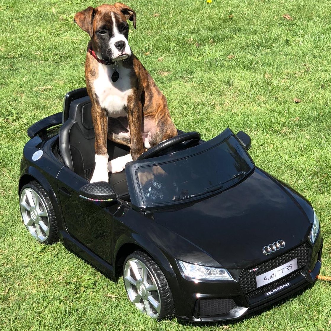 lidl_ireland's tweet image. *goes to Lidl for bread and milk*

Don’t buy it
Don’t buy it
Don’t buy it
Don’t buy it
Don’t buy it
Don’t buy it
Don’t buy it
Don’t buy it

Me: