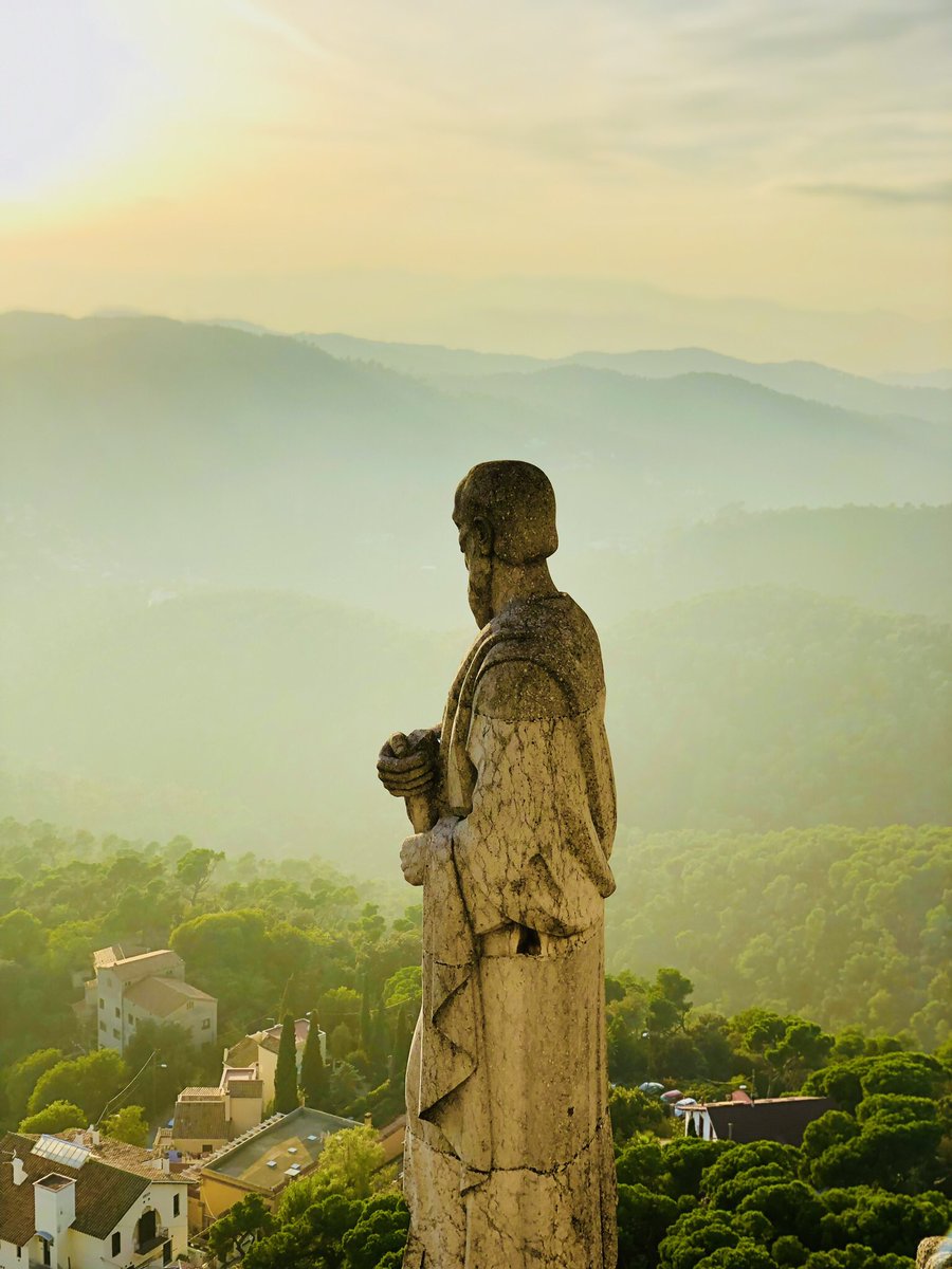 Eva Ferry tweet media