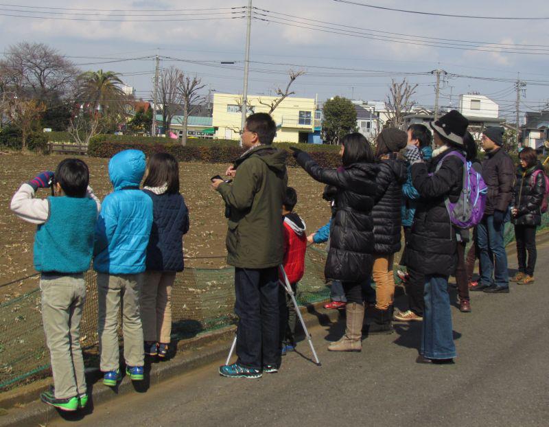 12月1日(土)ローカル限定イベントですが、初心者バードウォッチングをやります。（対象：武蔵野市在住・在学・在勤の方）
むさしの自然観察園の周辺を歩いて十数種程度の都市鳥を観察します。 