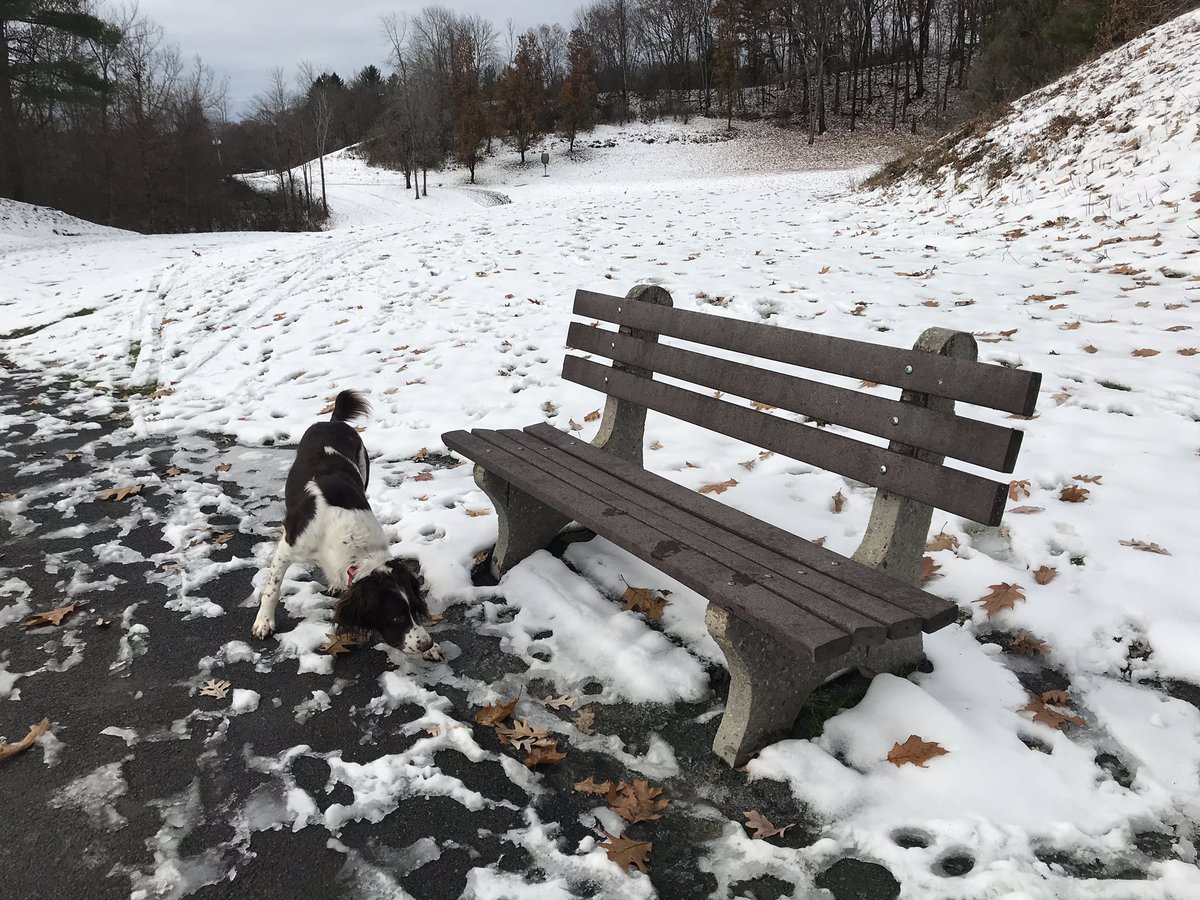 AkselRhodes's tweet photo. I know I saw a turkey! #mama https://t.co/RS4lzMvU00
