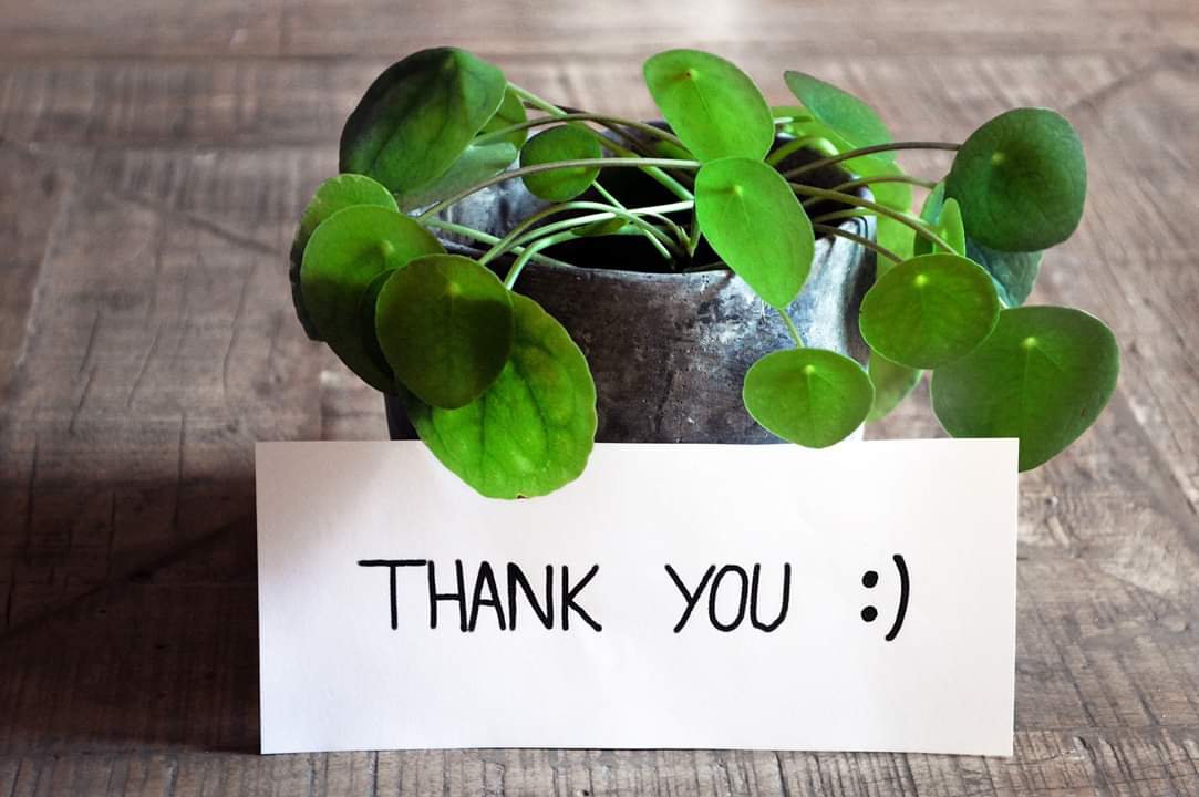 kccrypto's tweet photo. A Big thank you for all your responses and overwhelming support to BITHUB COMMUNITY!  Read responses here:
 https://t.co/AGpX670tMi

Join our bounty Program and earn BHCx for FREE
https://t.co/0VXtfEuBQN

 #bithub
#BHCx #community #bithubcommunity #blogs
#forums #crypto https://t.co/ag7L7kbpx8
