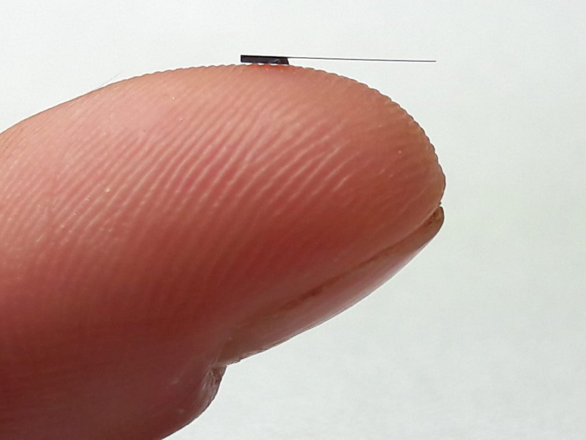 Nets3L's tweet image. Our latest study is out now: #SiNAPS #neurotechnology for #Brain research with active high-density probes doi.org/10.1016/j.bios…. In-pixel amplifiers &amp;amp; whole-array read-outs differently from #Neuropixels. Tks #BRAINInitiaitve and collaborators for this R&amp;amp;D!