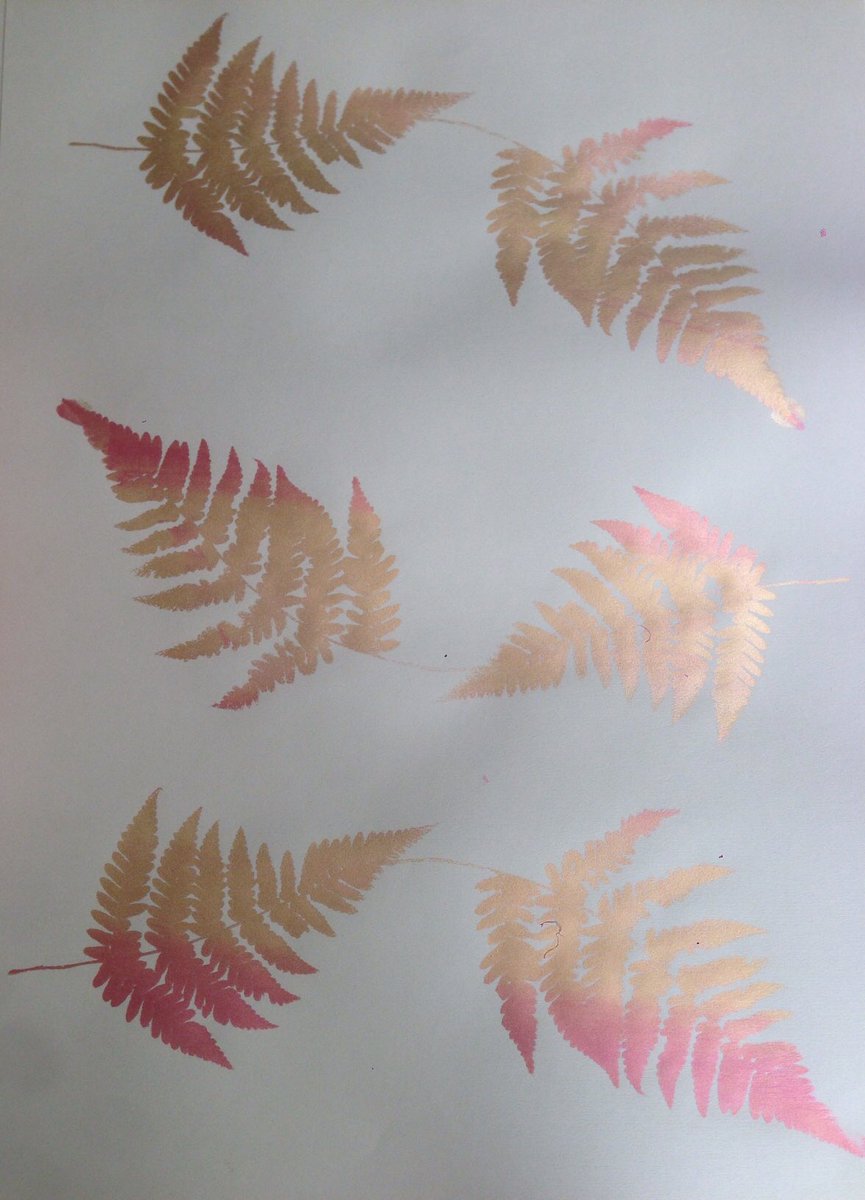 Helen @eye2eye tweet media