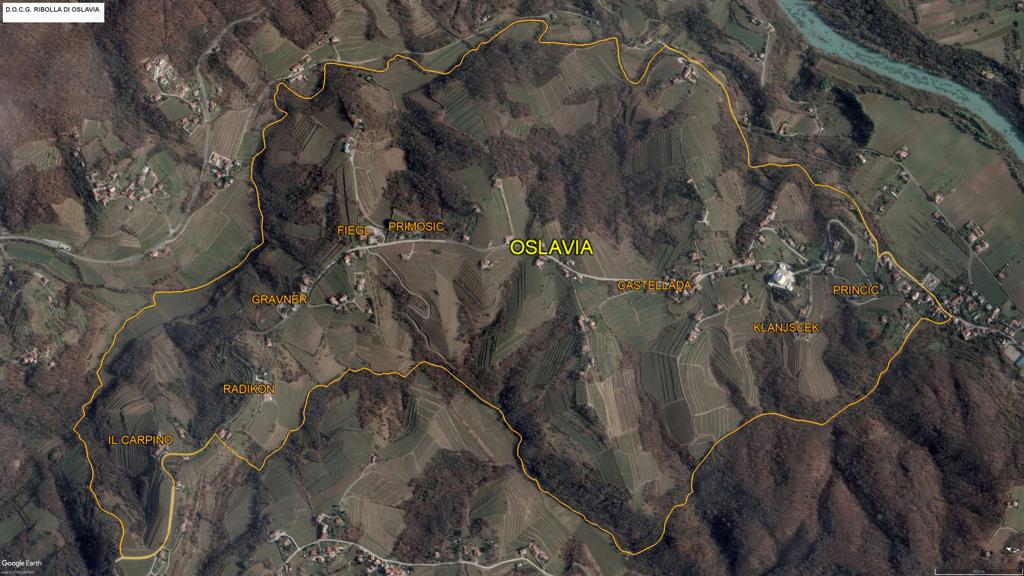 Il disciplinare di produzione della Ribolla di Oslavia in 11 punti 
fieglvini.com/ribolla-di-osl…
