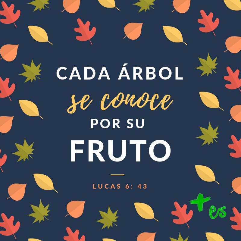 catolicos_es's tweet photo. ¿Qué fruto estás dando? https://t.co/jlYDSsc347