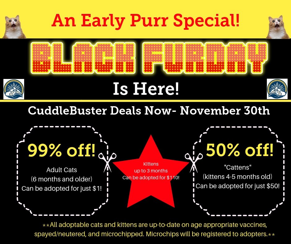 DuPageCAS's tweet photo. Deals! Deals! Deals! Now-Nov. 30th DCAS is slashing prices on all adult cats and "cattens" (kittens 4-5 months old) as part of a Black FurDay promotion! Come by the shelter and find a love to be thankful for!
#dupagecas #adoptdontshop https://t.co/jtW07qKKb2