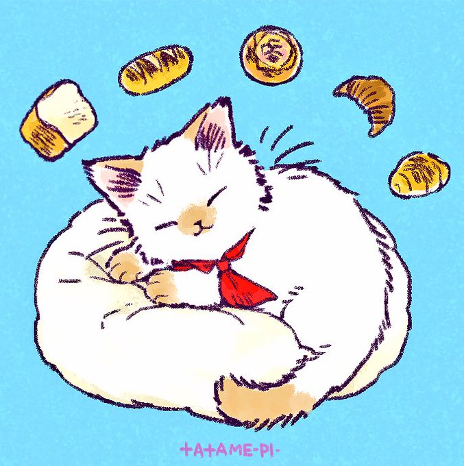 「動物 白い猫」のTwitter画像/イラスト(古い順)