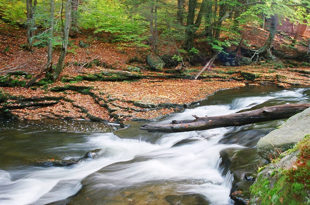 River River